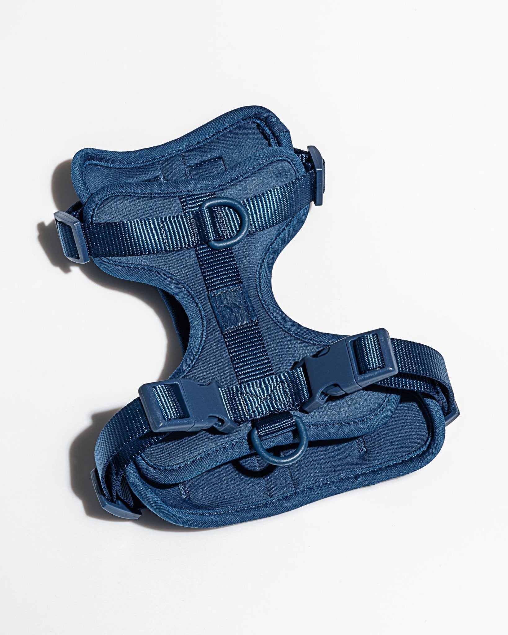 Wild One Dog Harness - Eva Pet - Wild One