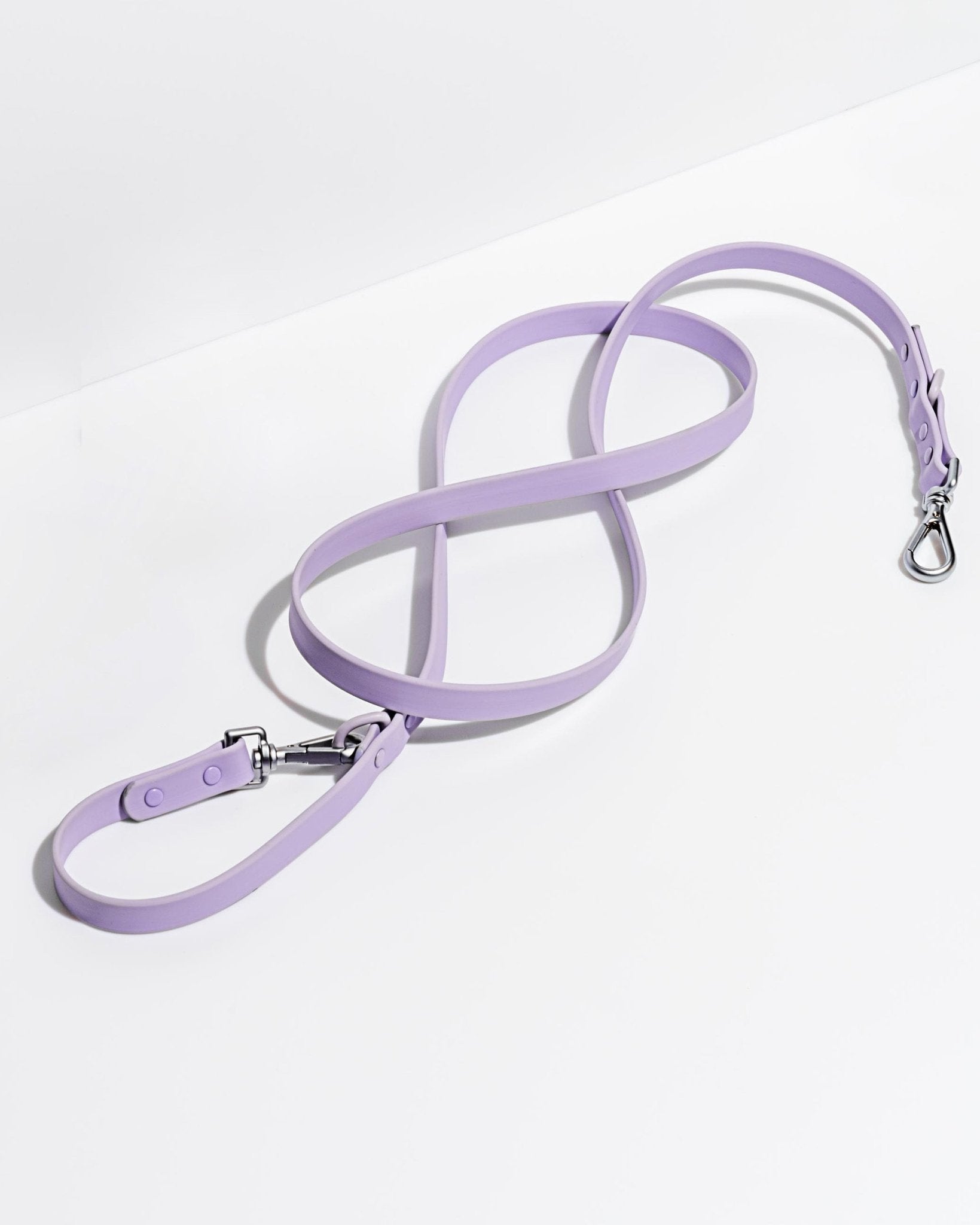 Wild One Dog Leash - Eva Pet - Wild One