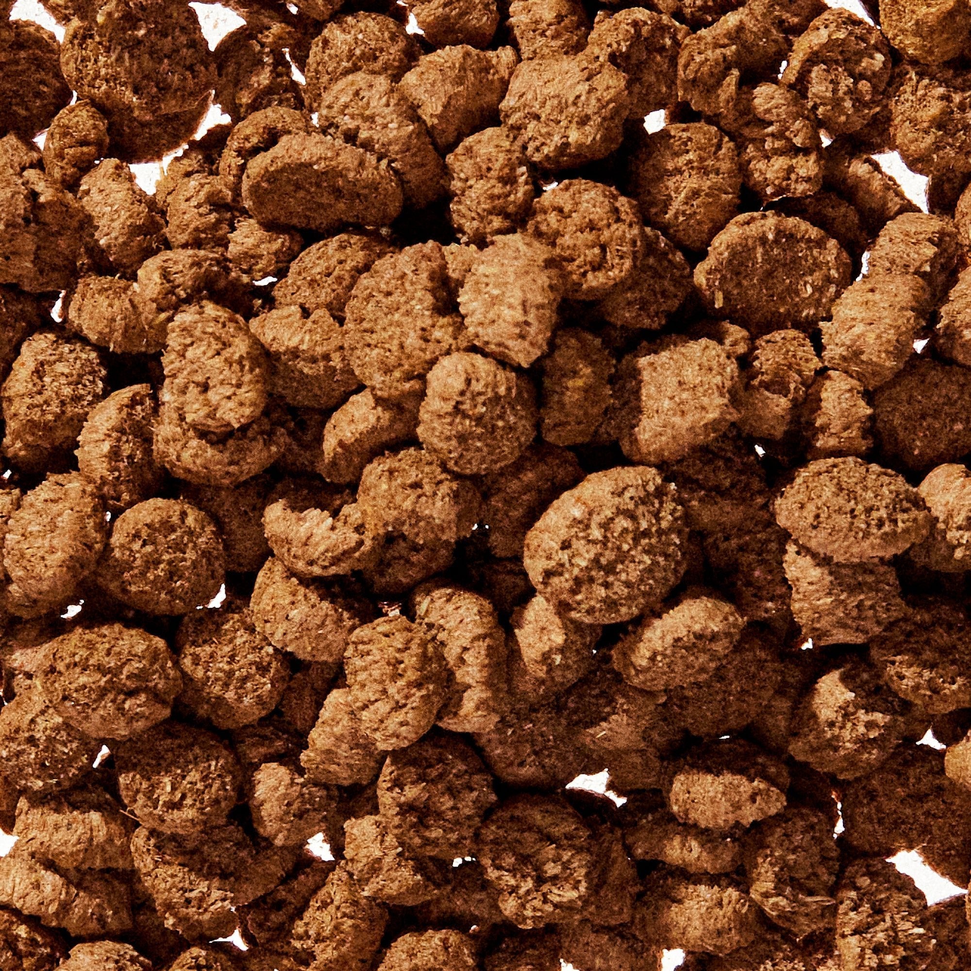 WONDERGLAND™ - Eva Pet - Native Pet