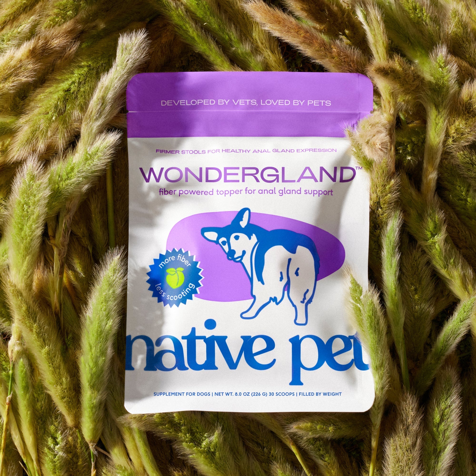 WONDERGLAND™ - Eva Pet - Native Pet