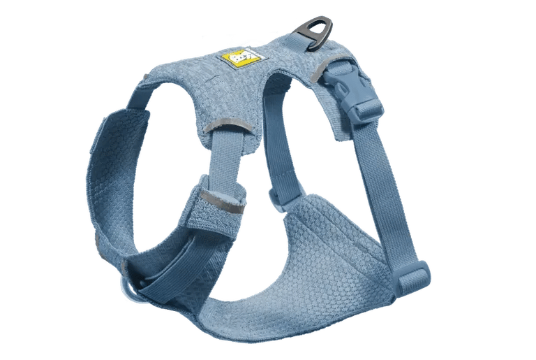 Blue dog harness