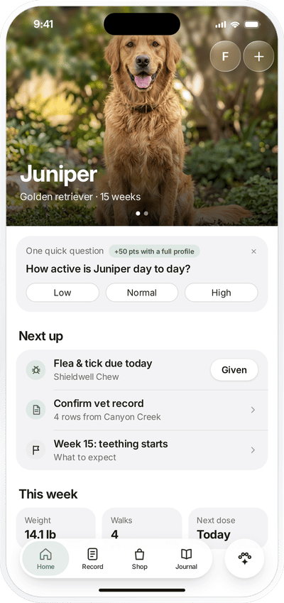 Evapup app screen shot profile