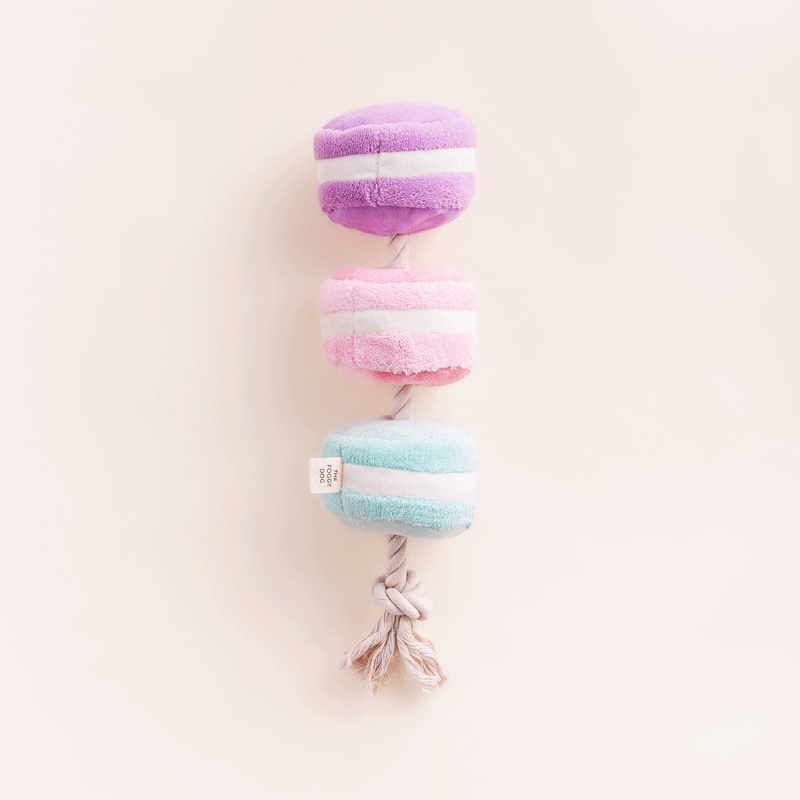 Macarons Interactive Snuffle Dog Toy