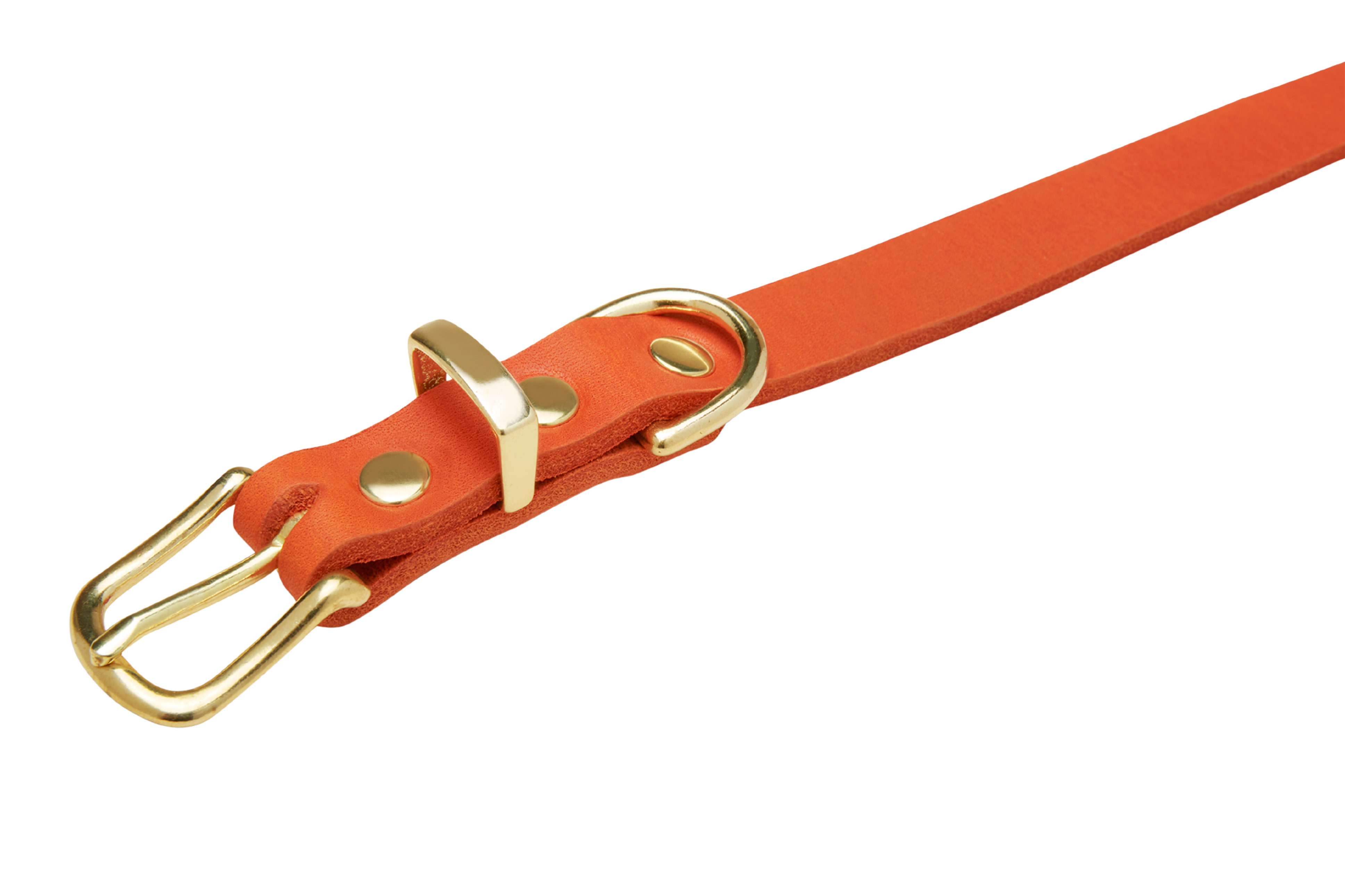 Butter Leather Dog Collar - Mango