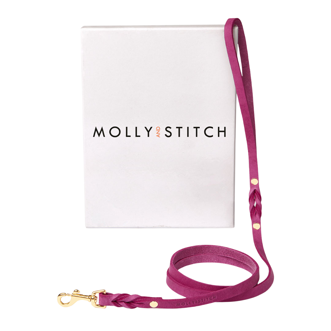 Butter Leather City Dog Leash - Flamingo