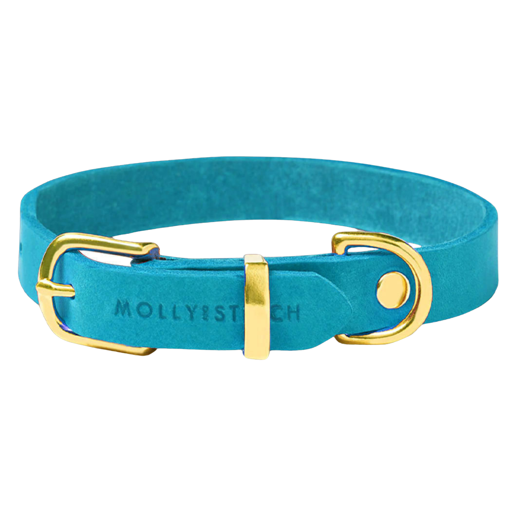 Butter Leather Dog Collar - Fiji