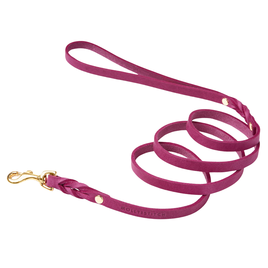 Butter Leather City Dog Leash - Flamingo