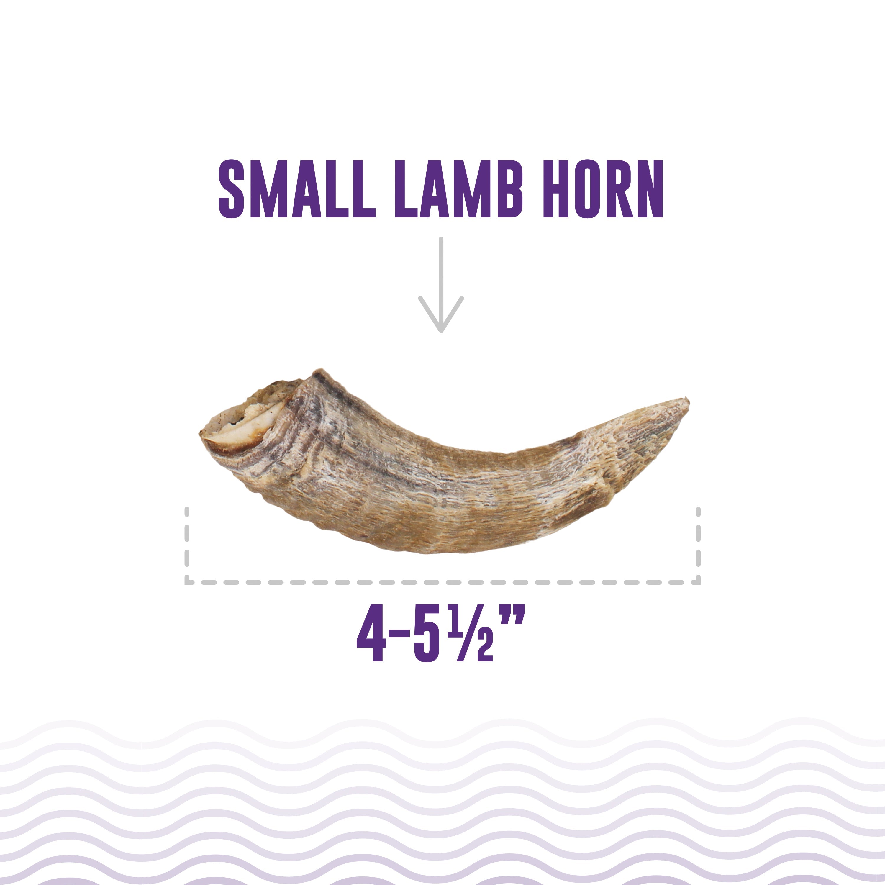 Small Lamb Horn with Marrow Dog Chew