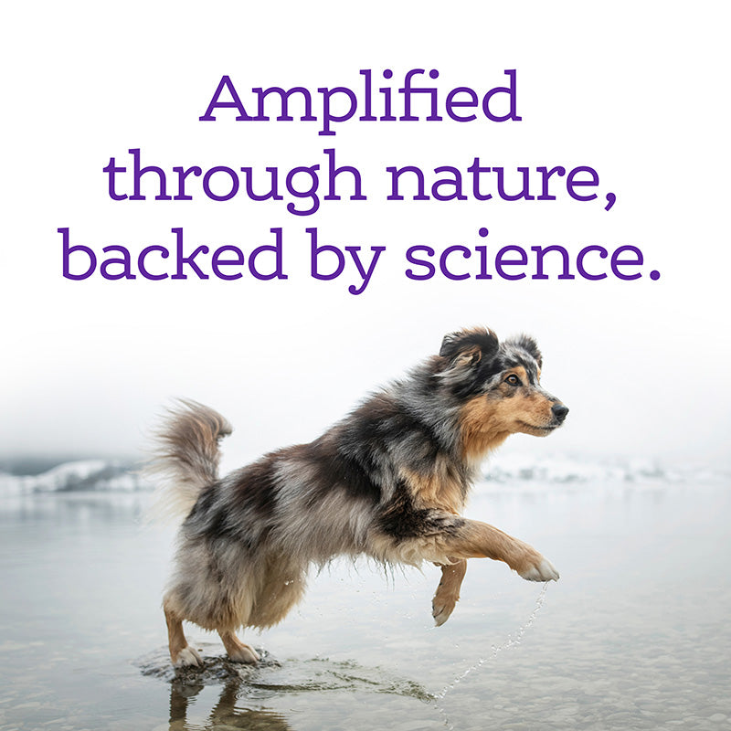 Soft Chew Calming Supplement