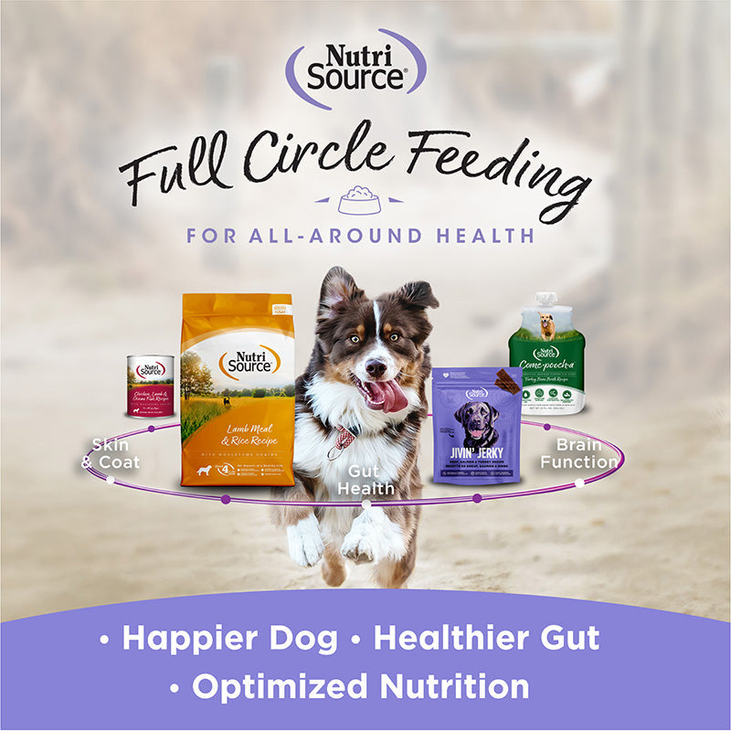 Immune+ Skin, Coat & Nail Support Gummy Supplements