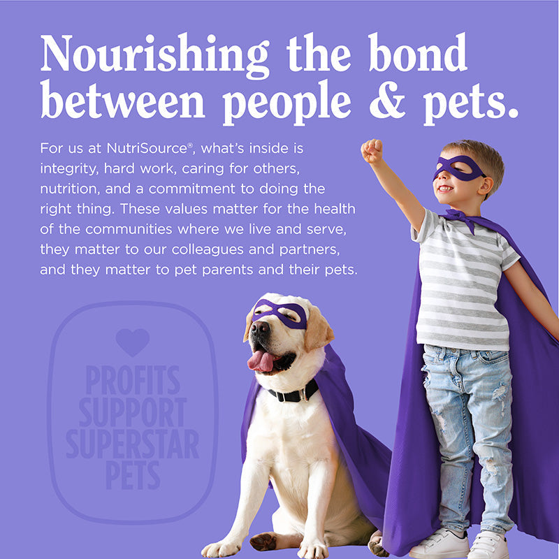 Immune+ Skin, Coat & Nail Support Gummy Supplements