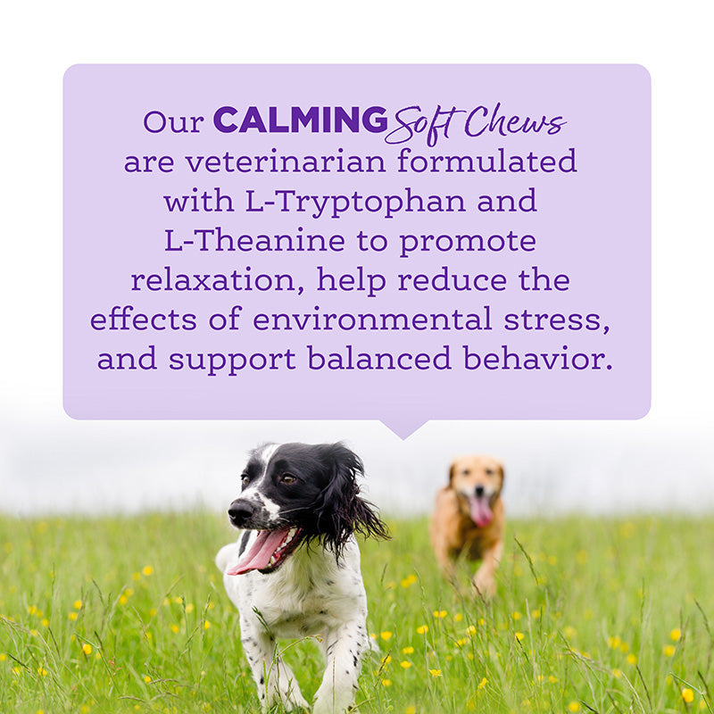 Soft Chew Calming Supplement
