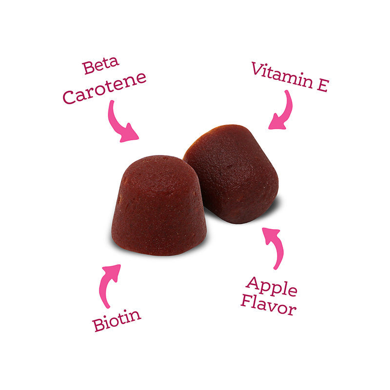 Immune+ Skin, Coat & Nail Support Gummy Supplements