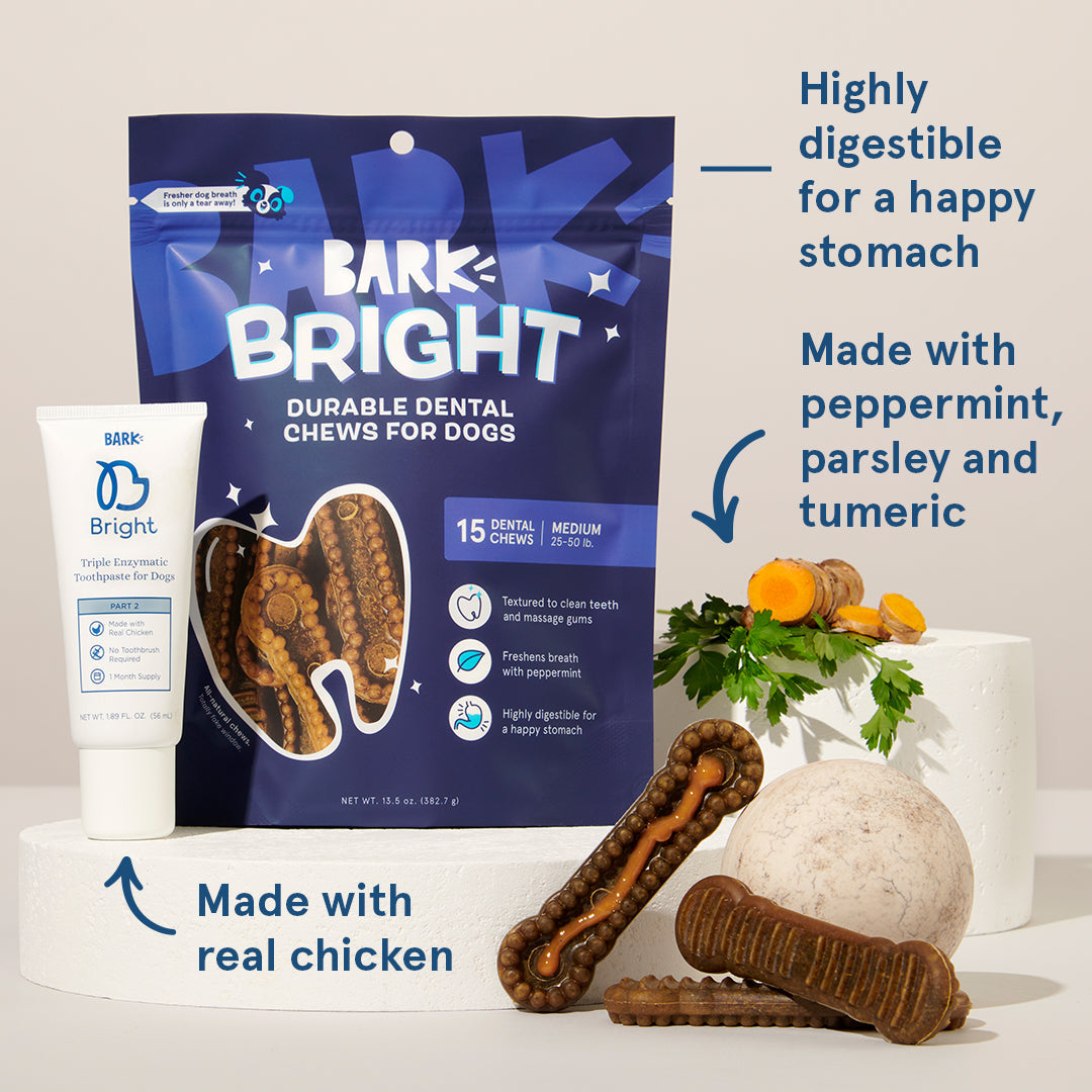 The Bright Durable Dental Kit Subscription