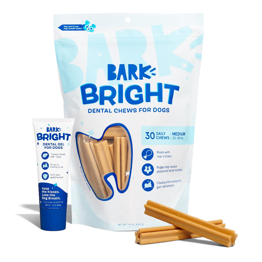 The Bright Dental Kit Subscription