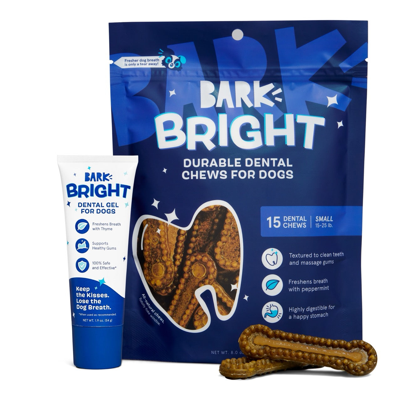 The Bright Durable Dental Kit Subscription
