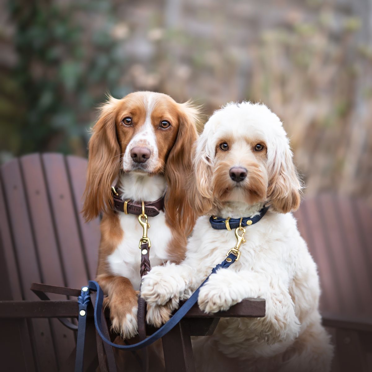 Butter Leather Dog Collar - Navy Blue