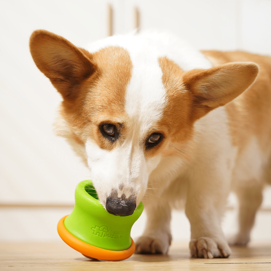 Dog Puzzle Tumbler M - Puzzle Feeder Enrichment Toy (for S/M Breeds)