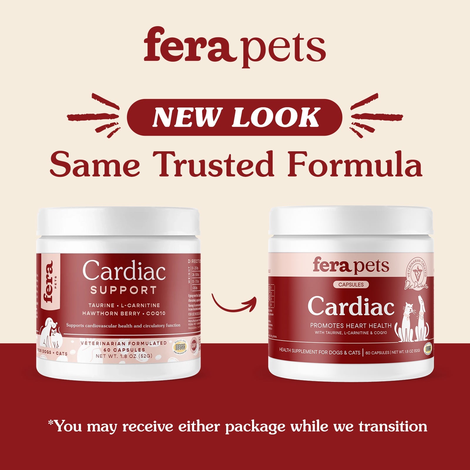 Cardiac Support for Dogs and Cats
