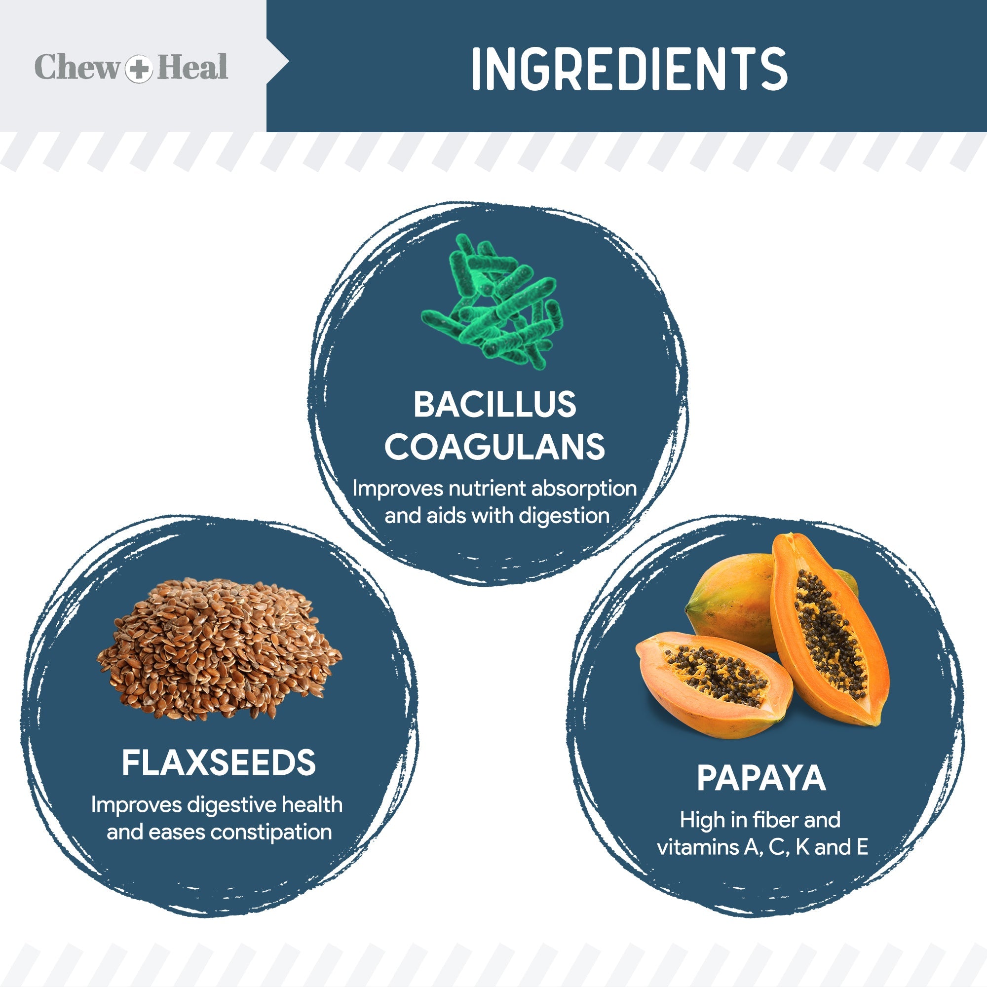 Digestive Enzymes & Probiotics Supplement for Dogs