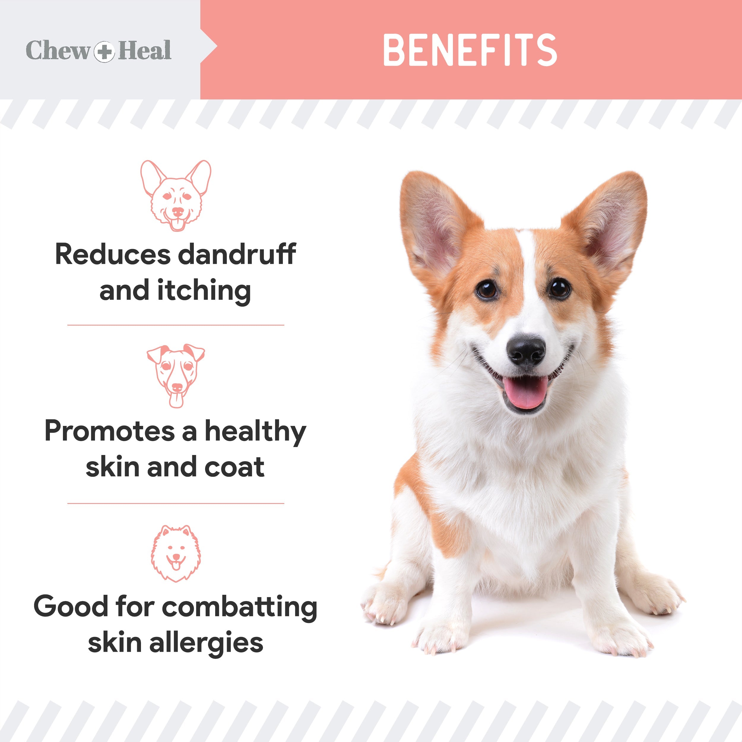 Wild Alaskan Omega Salmon Oil Formula Skin & Coat Liquid Supplement for Dogs
