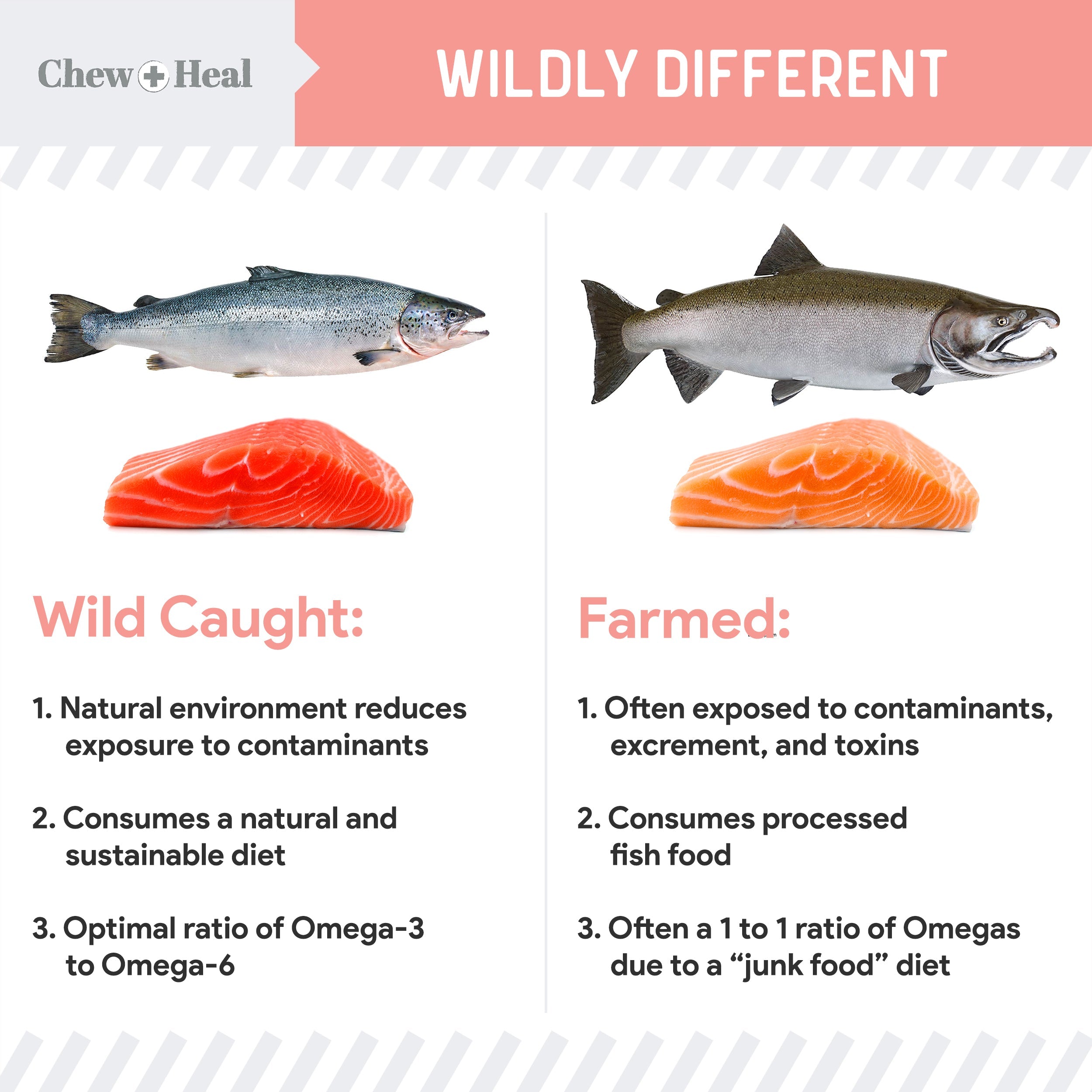 Wild Alaskan Omega Salmon Oil Formula Skin & Coat Liquid Supplement for Dogs