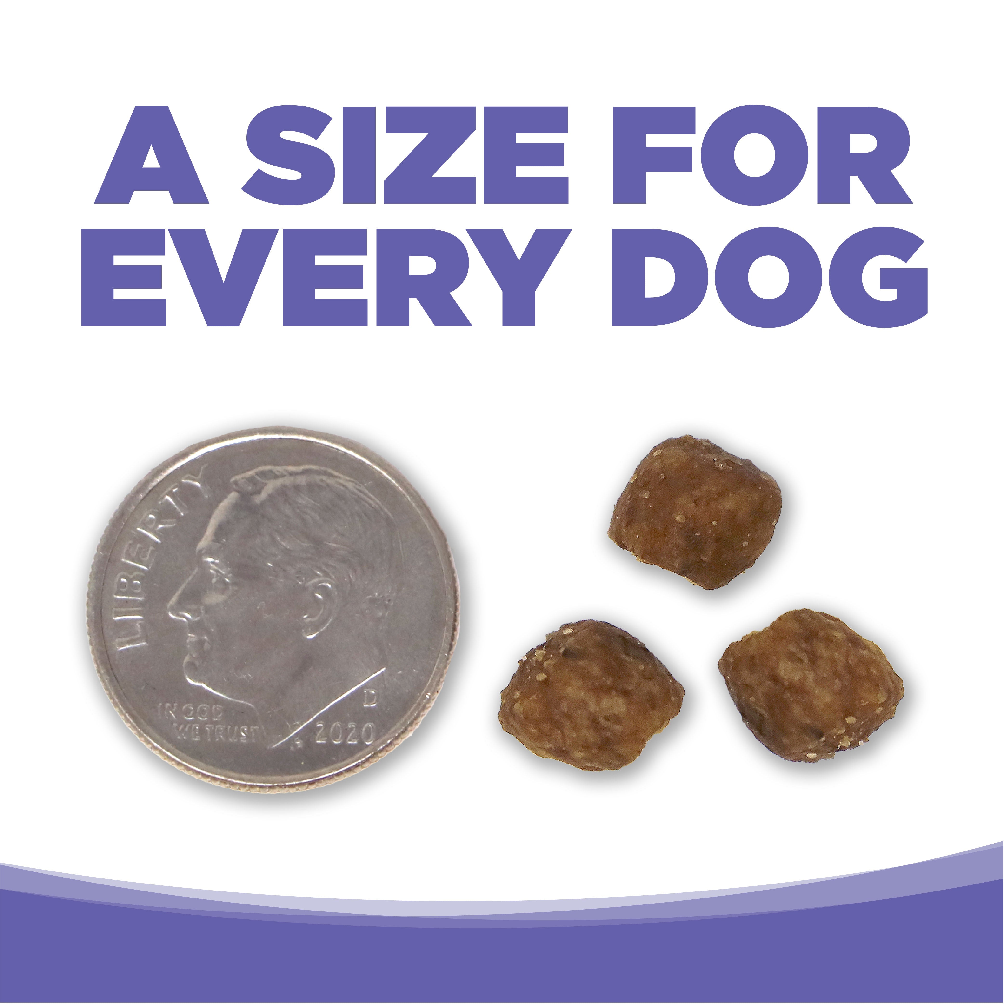 Small and Medium Breed Puppy