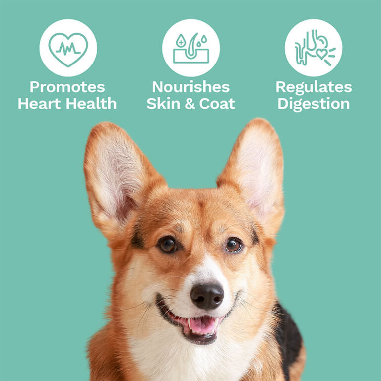 CBD Dog Treats for Heart + Immunity – Small to Medium Dogs – 300mg