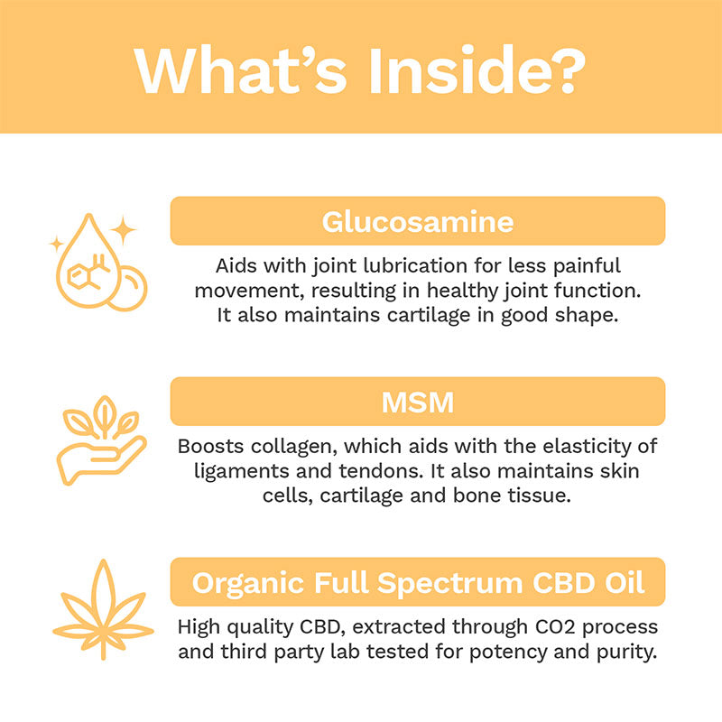 CBD Soft Chews For Joint + Mobility – Medium To Large Dogs – 600mg
