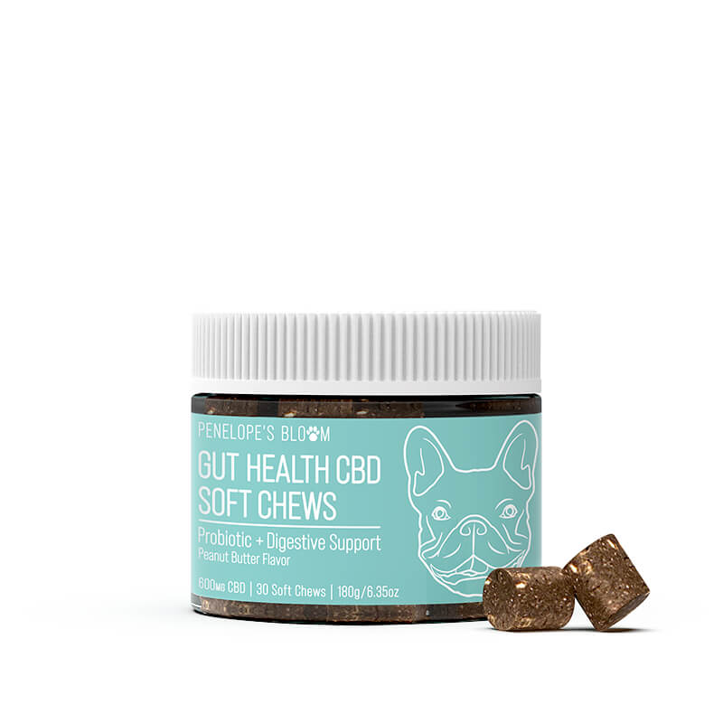 CBD Soft Chews For Digestive Support + Probiotic – Medium to Large Dogs – 600mg