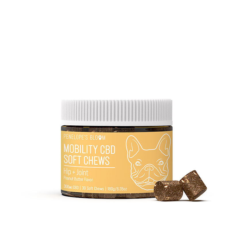 CBD Soft Chews For Joint + Mobility – Small To Medium Dogs – 300mg