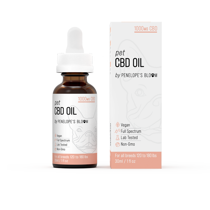 CBD Oil For Dogs 250mg – 1000mg