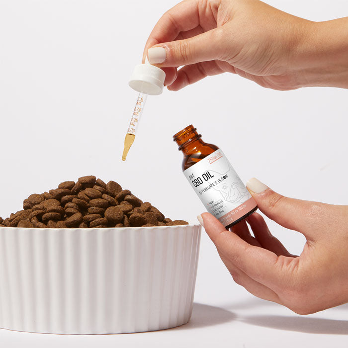 CBD Oil For Dogs 250mg – 1000mg