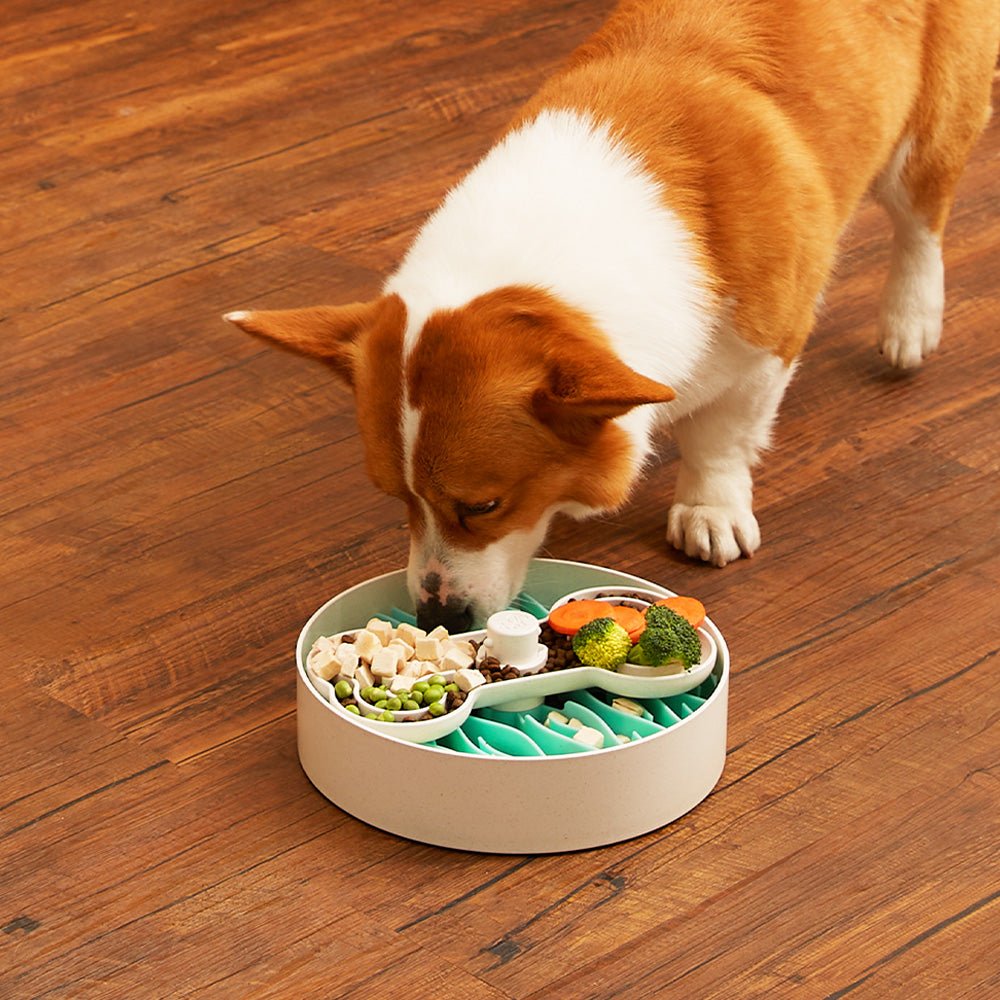 Puzzle Feeder™ Wave - Slower than a Slow Feeder - For Dogs (Green)