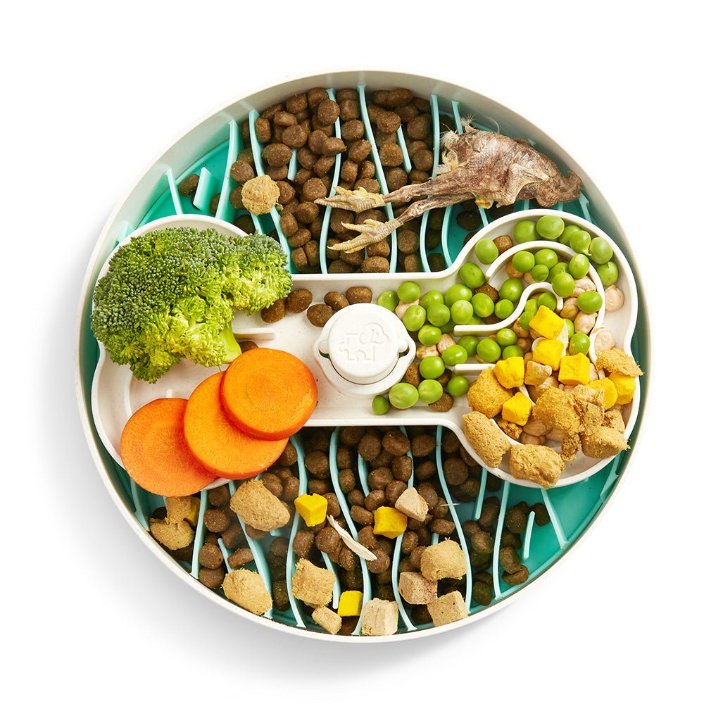Puzzle Feeder™ Wave - Slower than a Slow Feeder - For Dogs (Green)