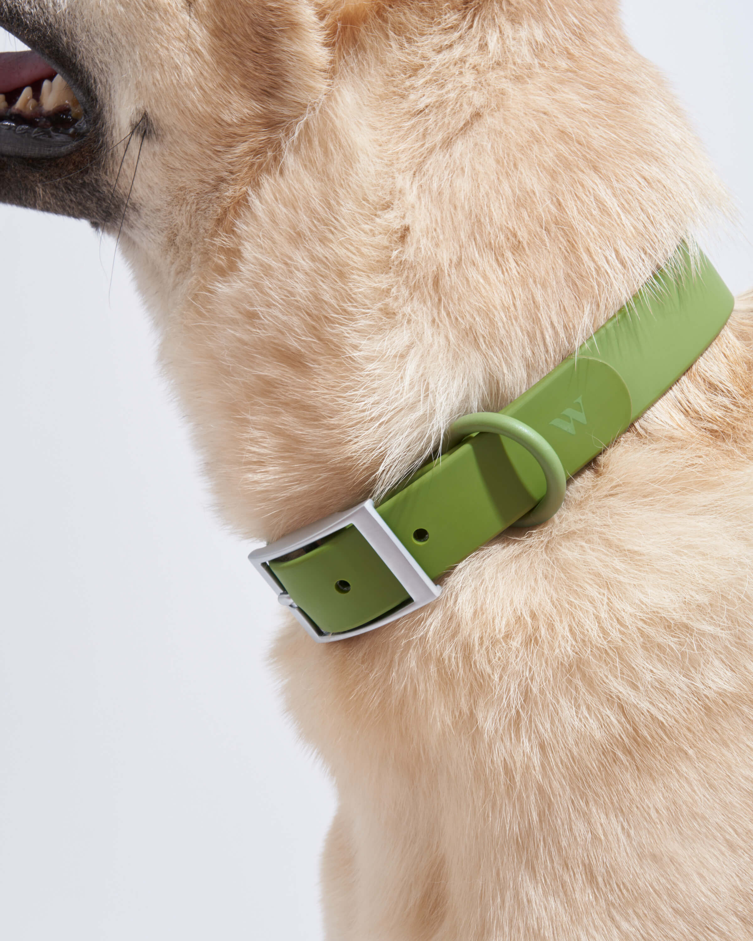 Collar