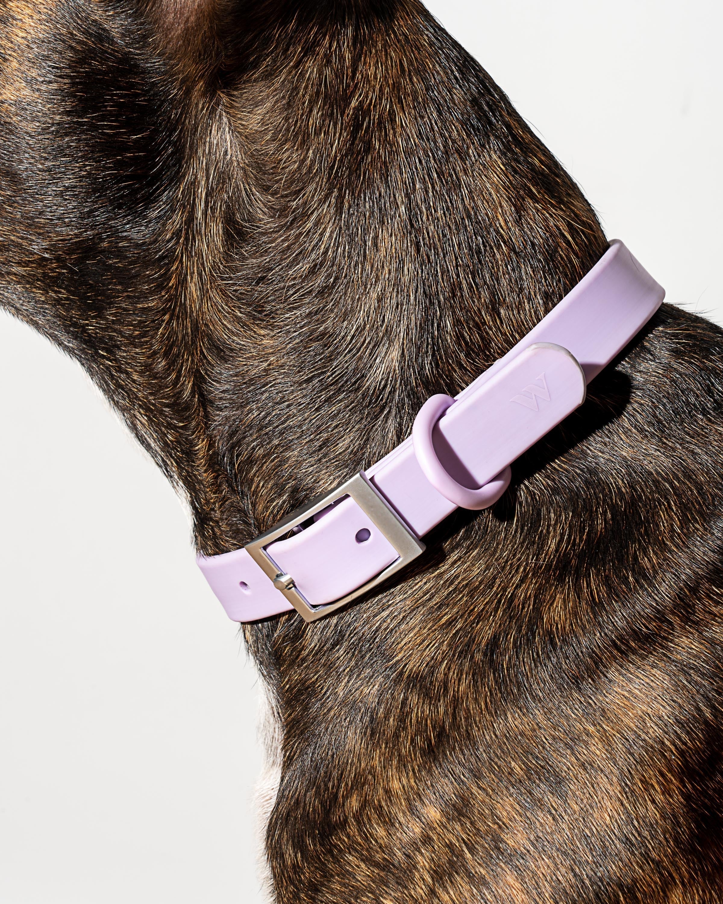 Collar