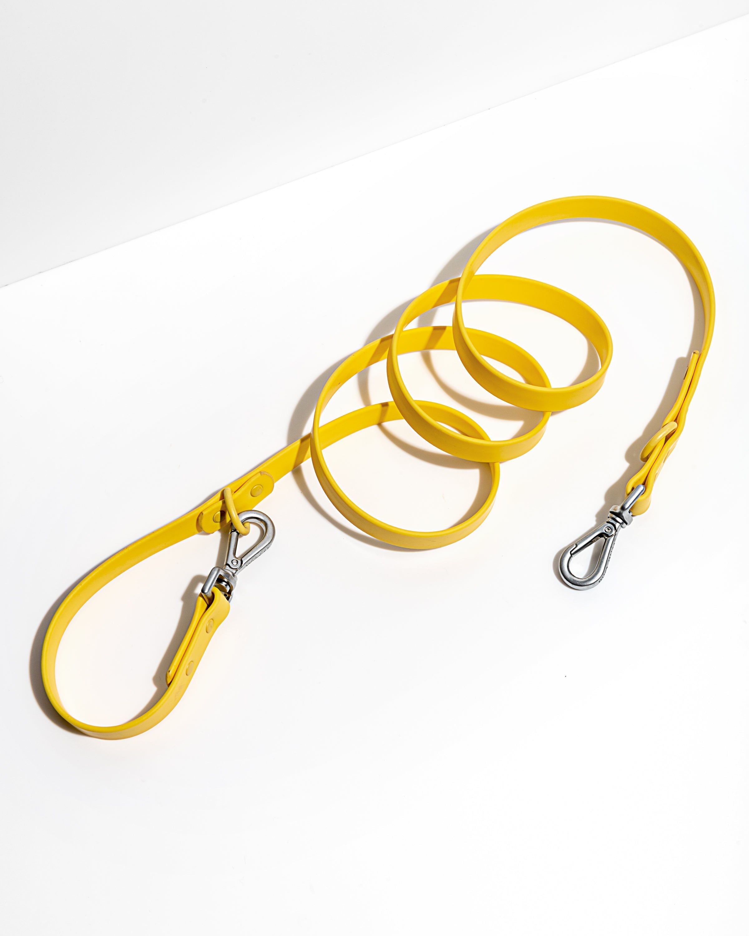 Dog Leash