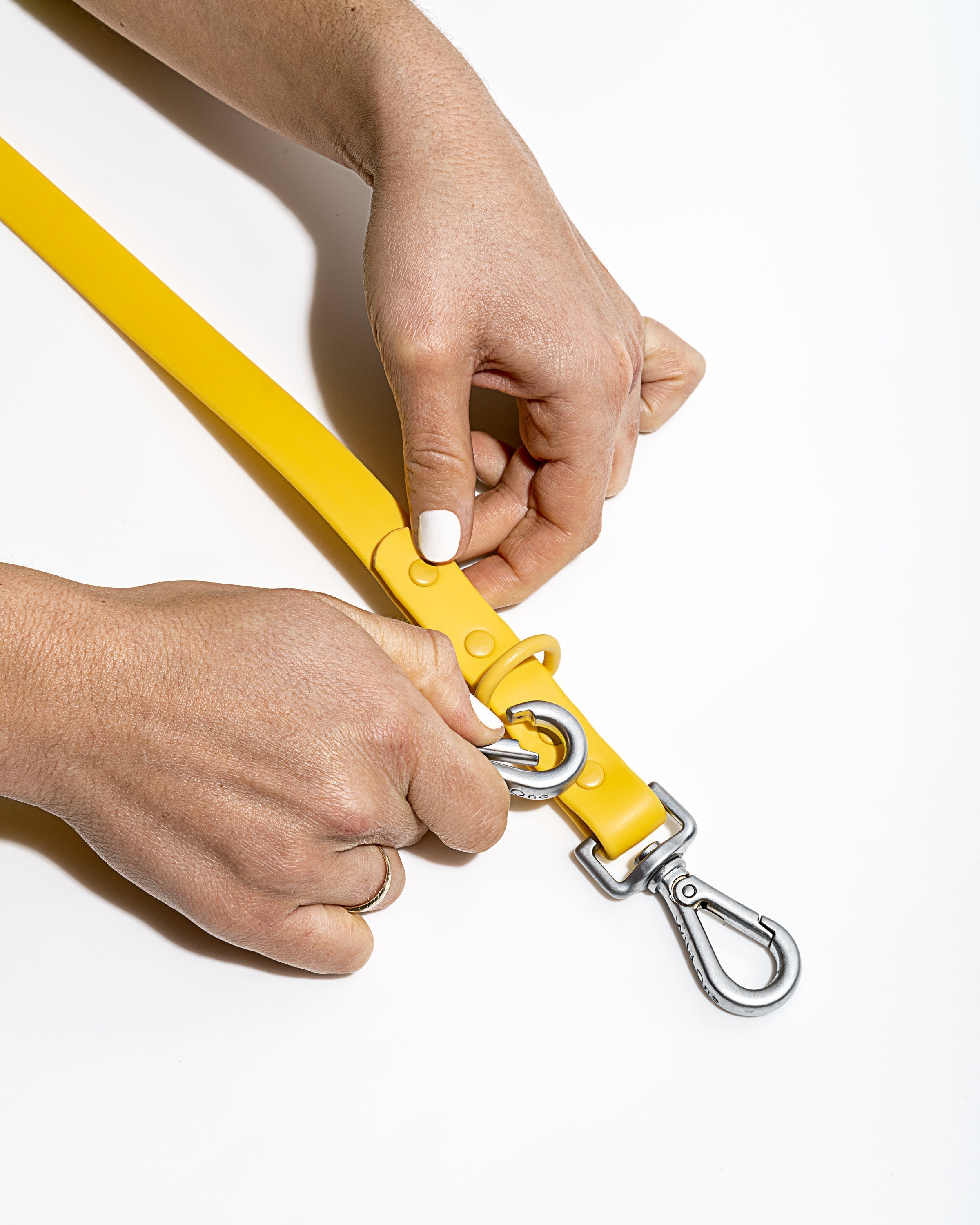 Dog Leash