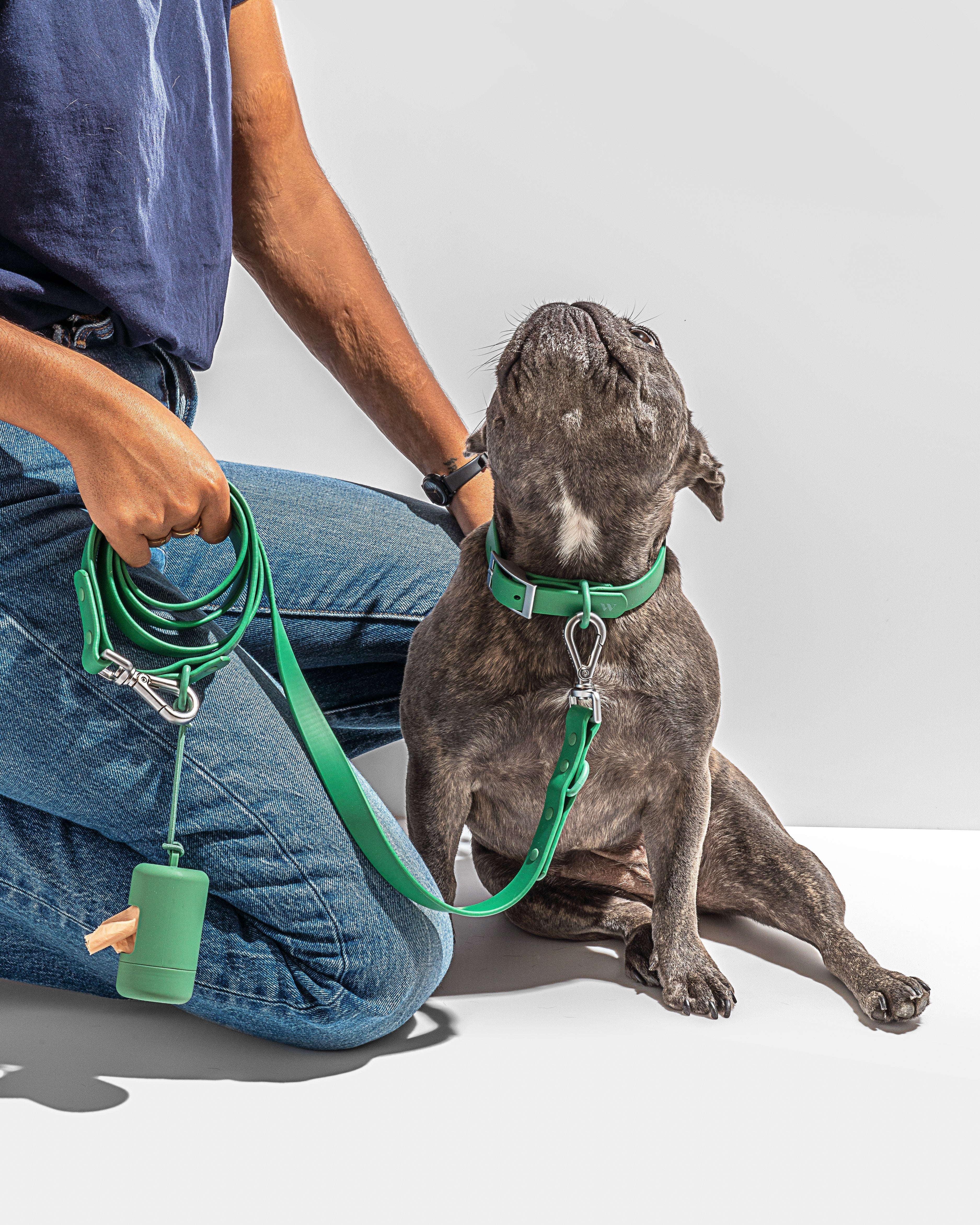 Dog Leash