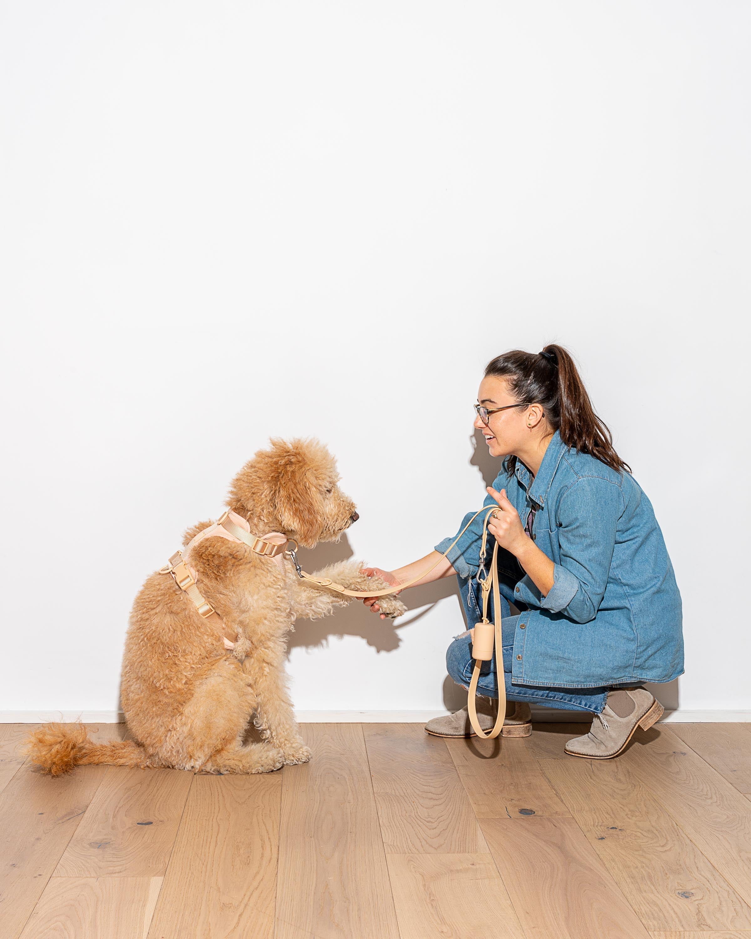 Dog Leash
