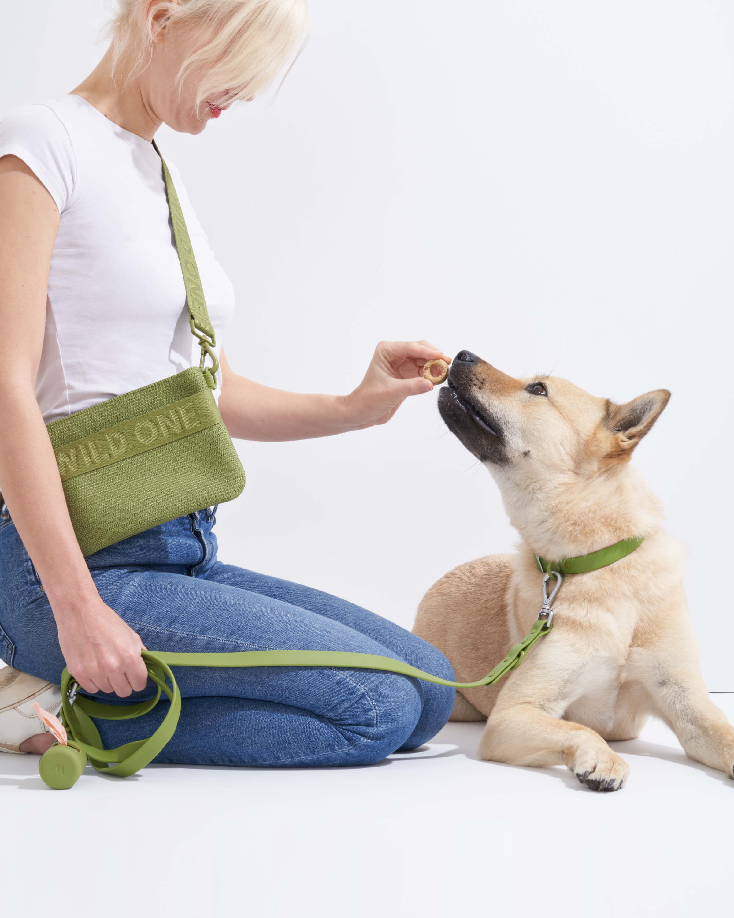 Dog Leash