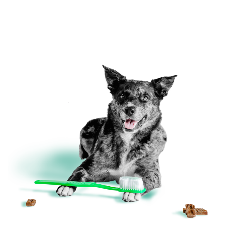 Brushers™ Dental Chews – Extra Small and Small Dogs