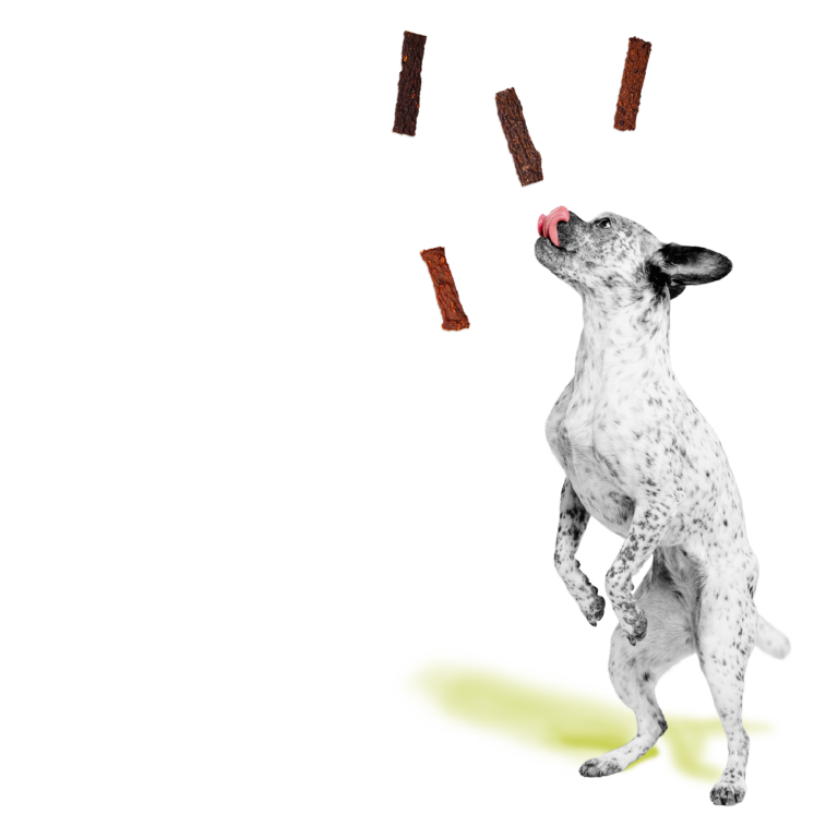 BIXBI® Original Jerky Treats for Dogs – Beef Lung Recipe