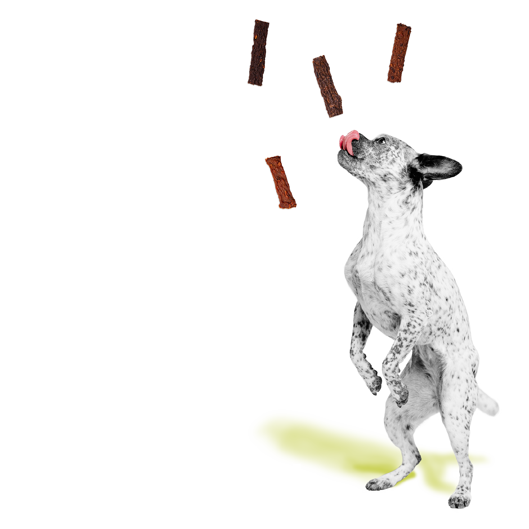 BIXBI® Original Jerky Treats for Dogs – Chicken Recipe