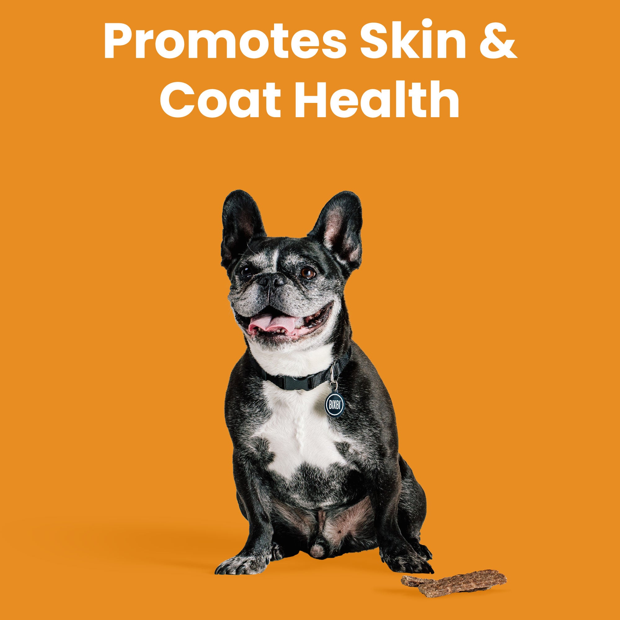 BIXBI® Skin & Coat Jerky Treats for Dogs – Salmon Recipe
