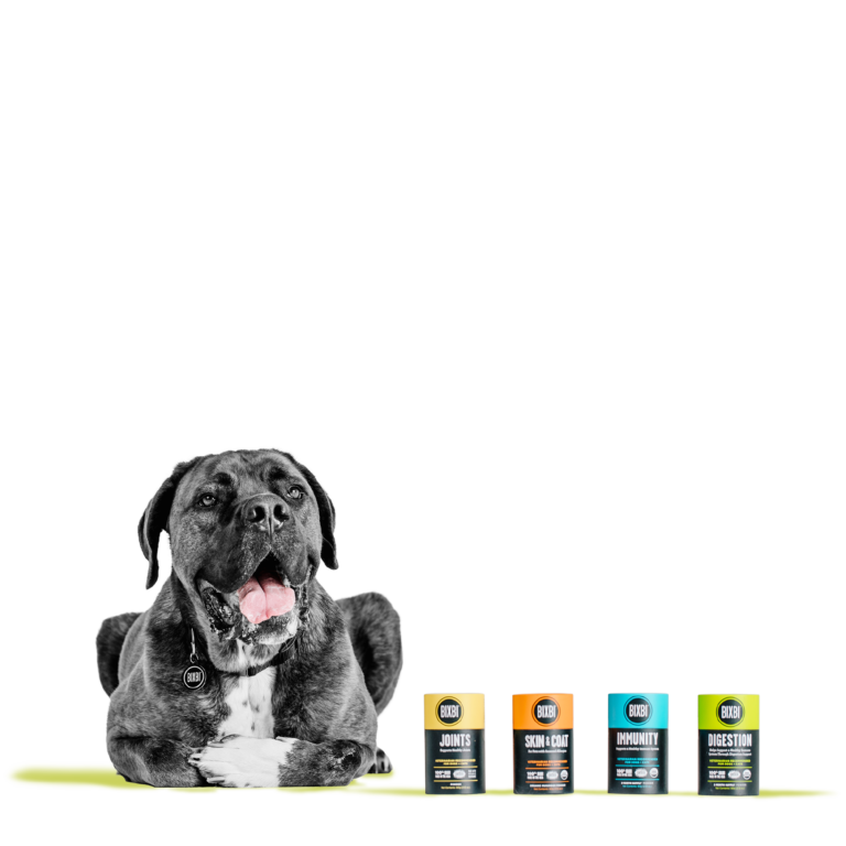 BIXBI® Digestion Supplement