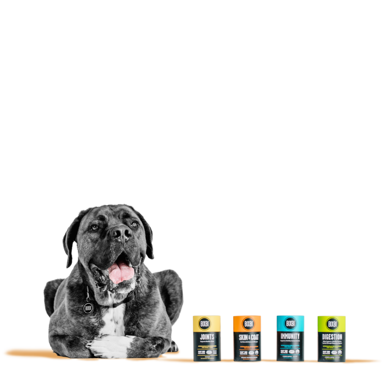 BIXBI® Skin & Coat Supplement