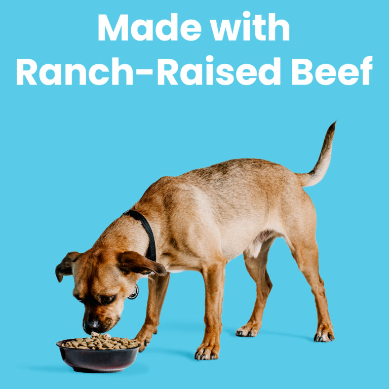 Liberty® Dry Food for Dogs – Beef Recipe