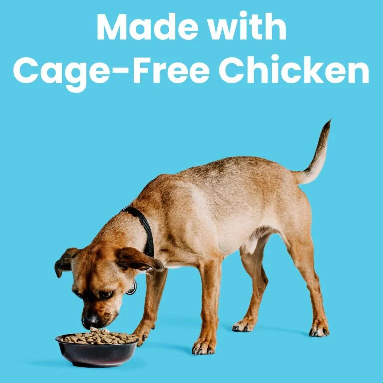Liberty® Dry Food for Dogs – Chicken Recipe